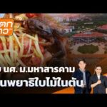 พบ นศ.ม.สารคาม เป็นพยาธิใบไม้ในตับ |  7 ก.ค. 69