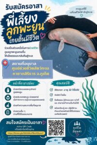 -ด่วน-เปิดรับอาสา-“พี่เลี้ยงลูกพะยูน-sunday”-ร่วมภารกิจช่ว