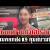 ด่วน แฉแช็ตลับ “โรสโรส” ดีลส่งเฮโรอีน หลักฐานแอร์สาวไม่ได้หิ้วของครั้งแรก  | 07/07/69