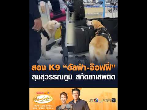 สอง K9 อัลฟ่า-จ๊อฟฟี่ ลุยสุวรรณภูมิ สกัดยาเสพติด อัพเดทข่าว