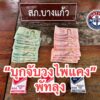 พัทลุง-บุกวงไพ่แคง-ตำรวจบางแก้วรวบนักพนัน-6-คน-คาวงกลางพื-|-2026-07-09-02:25:00