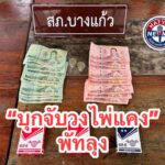พัทลุง-บุกวงไพ่แคง-ตำรวจบางแก้วรวบนักพนัน-6-คน-คาวงกลางพื-|-2026-07-09-02:25:00