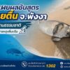 -กรม-ทช-เผยผลชันสูตรพะยูนเกยตื้น-จังหวัดพังงา-คาดเสียชีวิตตามธร
