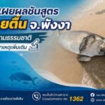 -กรม-ทช-เผยผลชันสูตรพะยูนเกยตื้น-จังหวัดพังงา-คาดเสียชีวิตตามธร