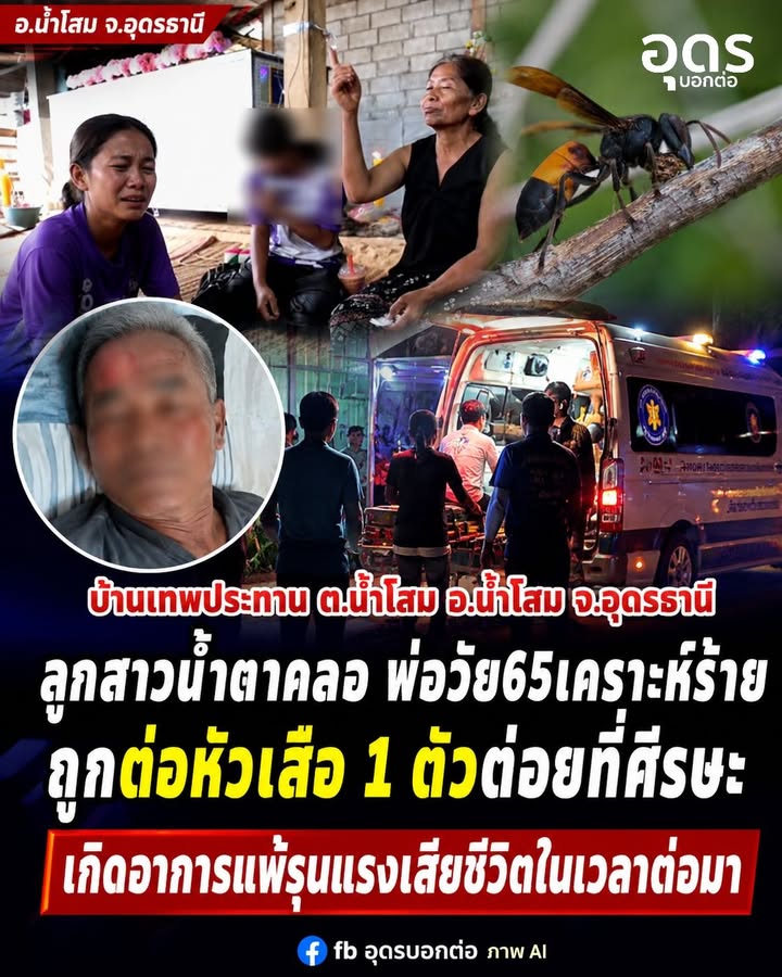 -อน้ำโสม-จ.อุดรธานี-ลูกสาวน้ำตาคลอ-พ่อวัย65-ถูกต่อหัวเสือต