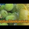 ‘ทุเรียนใต้’ ราคาตก หมอนทอง-ชะนี เหลือหลักสิบ ชาวสวนระทม กังวลขาดทุนหนัก อัพเดทข่าว