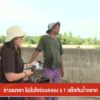 ชาวสงขลา-ไม่มั่นใจซ่อมคลอง-ร.1-เสร็จทันน้ำหลาก-ข่าวใต้แลได้