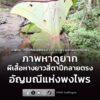 ภาพหาดูยาก-ผีเสื้อหางยาวสี่ตาปีกลายตรง-อัญมณีแห่งพงไพรที่ใกล-|-2026-07-11-09:01:00