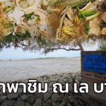 โอ้ป้า-หาเรื่อง-:-โอ้ป้าพาชิม-ณ-เล-บางปู-โอ้ป้าหาเรื่อง-#fm-|-2026-07-12-12:00:00