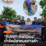 จังหวัดสุราษฎร์ธานี-เดินหน้ากำจัดปลาหมอคางดำ-ภายใต้กิจกรรม-