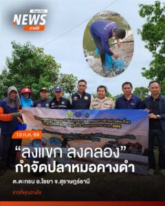 จังหวัดสุราษฎร์ธานี-เดินหน้ากำจัดปลาหมอคางดำ-ภายใต้กิจกรรม-