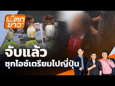 ซุกไอซ์กระปุกมะขามเปียก หาคนหิ้วไปญี่ปุ่น | 17 ก.ค. 69