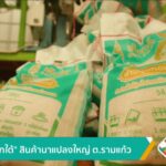 “ข้าวเด็กใต้”-สินค้านาแปลงใหญ่-ต.รามแก้ว-ข่าวใต้แลได้ที่เรา
