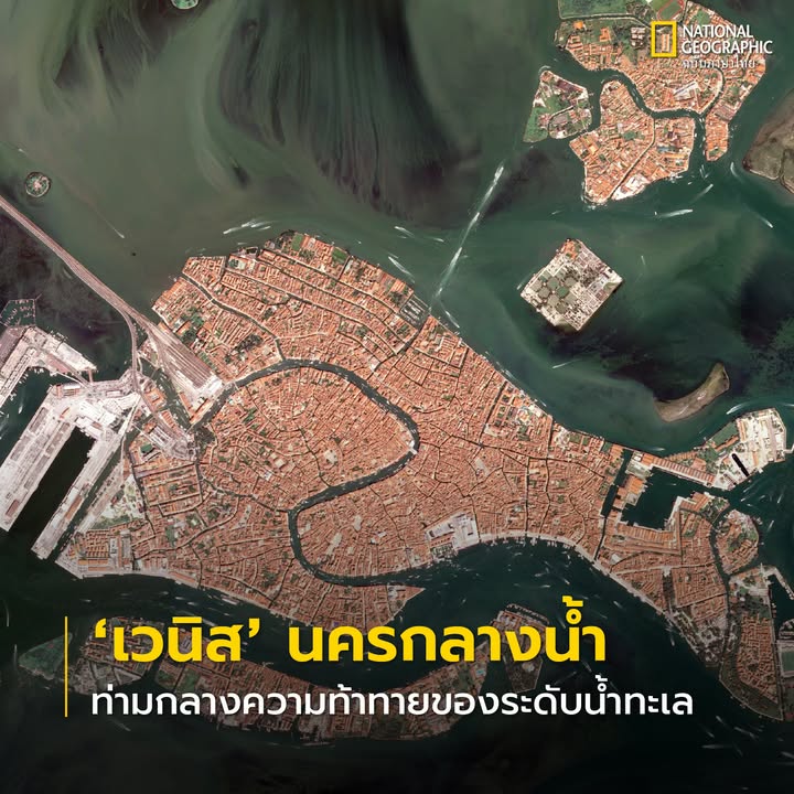 เวนิส-(venice)-นครกลางน้ำทางตอนเหนือของประเทศอิตาลี-คือหนึ