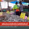 เตรียมส่งออกกุ้งไทยไปมาเลเซีย-สิ้นเดือนนี้-ข่าวใต้แลได้ที่เ