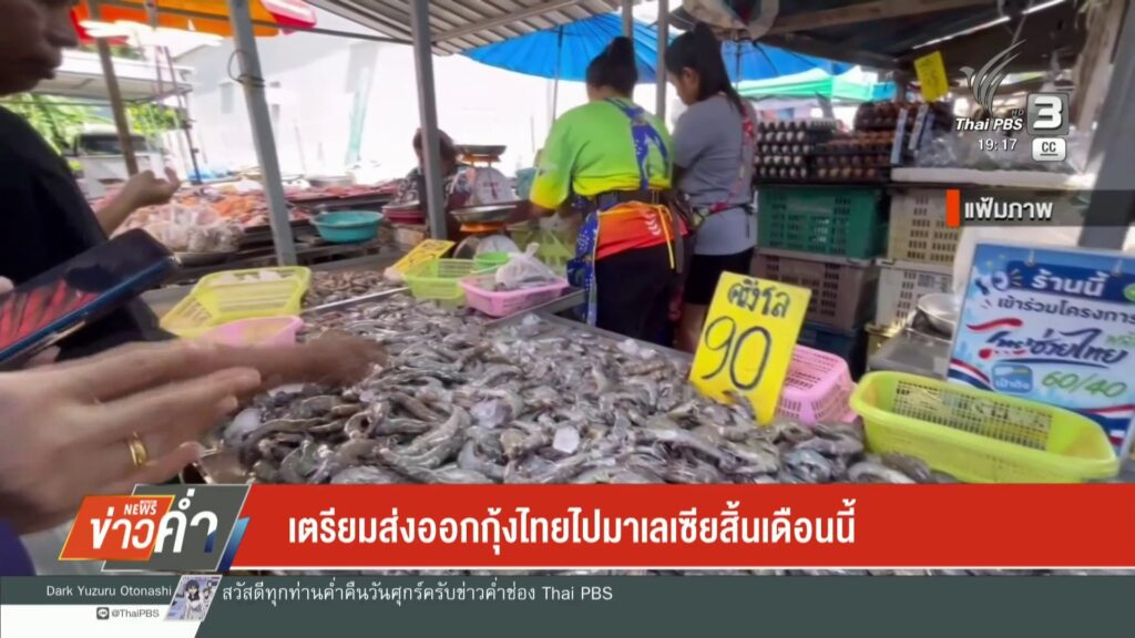 เตรียมส่งออกกุ้งไทยไปมาเลเซีย-สิ้นเดือนนี้-ข่าวใต้แลได้ที่เ