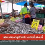 เตรียมส่งออกกุ้งไทยไปมาเลเซีย-สิ้นเดือนนี้-ข่าวใต้แลได้ที่เ