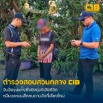 รวบโจ๋เลืoดร้อนแก๊งซิ่งยิvถล่มคู่อริดับ-หนีบวชกบดานเชียงใหม่