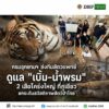 ðððð-ððð¡ðð¡ððð-:-กรมอุทยานแห่งชาติ-ส่งทีมสัตวแพทย์ดูแล-“เบิ้ม–น้ำพรม