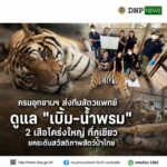 ðððð-ððð¡ðð¡ððð-:-กรมอุทยานแห่งชาติ-ส่งทีมสัตวแพทย์ดูแล-“เบิ้ม–น้ำพรม