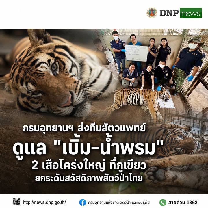 ðððð-ððð¡ðð¡ððð-:-กรมอุทยานแห่งชาติ-ส่งทีมสัตวแพทย์ดูแล-“เบิ้ม–น้ำพรม