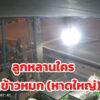 หูแร่-หาดใหญ่-ห่ายลูกหลานใครนิ?-หัวเช้าขี่มอไซค์มา-ฉกข้าวห-|-2026-07-19-04:33:00