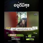 อยู่ดีมีสุข | สำนักข่าววันนิวส์