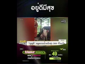 อยู่ดีมีสุข | สำนักข่าววันนิวส์