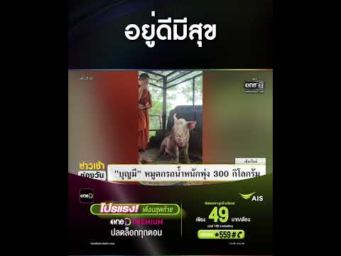 อยู่ดีมีสุข | สำนักข่าววันนิวส์