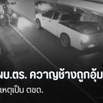 ภรรยาควาญช้างปางช้าง-ในอำเภอแม่แตง-จังหวัดเชียงใหม่-พากลุ่มเ