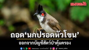 ครม.-อนุมัติหลักการถอด-นกปรอดหัวโขน–นกกรงหัวจุก-ออกจากบัญช