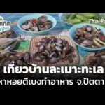 เที่ยวบ้านละเมาะทะเล หาหอยตีเบงทำอาหาร จ.ปัตตานี 21 ก.ค. 69