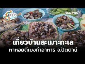 เที่ยวบ้านละเมาะทะเล หาหอยตีเบงทำอาหาร จ.ปัตตานี 21 ก.ค. 69