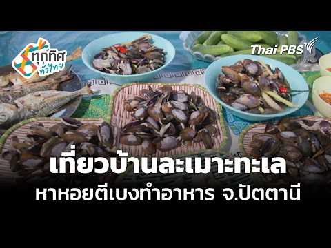 เที่ยวบ้านละเมาะทะเล หาหอยตีเบงทำอาหาร จ.ปัตตานี 21 ก.ค. 69