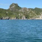 ðððð-:-อุทยานแห่งชาติ-หมู่เกาะอ่างทอง-ชวนส่อง-“โลมาหลังโหนก”-4-ตัว