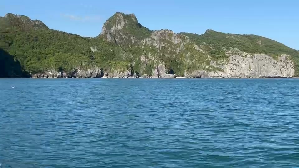 ðððð-:-อุทยานแห่งชาติ-หมู่เกาะอ่างทอง-ชวนส่อง-“โลมาหลังโหนก”-4-ตัว