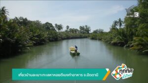 เทียวบ้านละเมาะทะเลหาหอยตีเบงทำอาหาร-จ.ปัตตานี-ข่าวใต้แลได้
