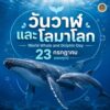 -วันวาฬและโลมาโลก-(world-whale-and-dolphin-day)-วันที่-23-ก