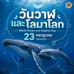 -วันวาฬและโลมาโลก-(world-whale-and-dolphin-day)-วันที่-23-ก