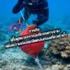 -save-coral,-sustain-the-sea-ðª¸-ทุกความร่วมมือ-คือพลังสำคั