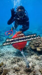 -save-coral,-sustain-the-sea-ðª¸-ทุกความร่วมมือ-คือพลังสำคั