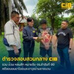 รวบ-อ้วน-หล่มสัก-บุคคลตามปฏิทินหมายจับ-ตำรวจ-ลำดับที่-60-เคร