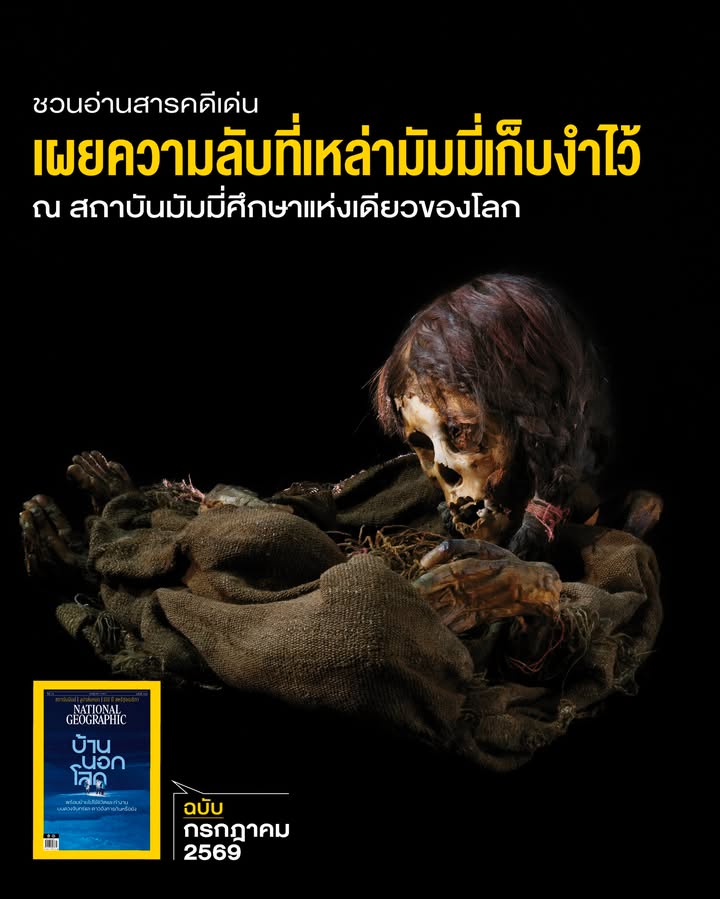 ตลอดการศึกษาประวัติศาสตร์ที่ผ่านมา-มัมมี่มักจะถูกมองว่าเป็นส
