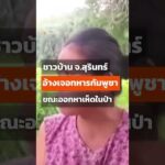 ชาวบ้าน จ.สุรินทร์ ออกหาเห็ดในป่า อ้างเจอทหารกัมพูชา   