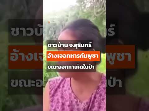 ชาวบ้าน จ.สุรินทร์ ออกหาเห็ดในป่า อ้างเจอทหารกัมพูชา   