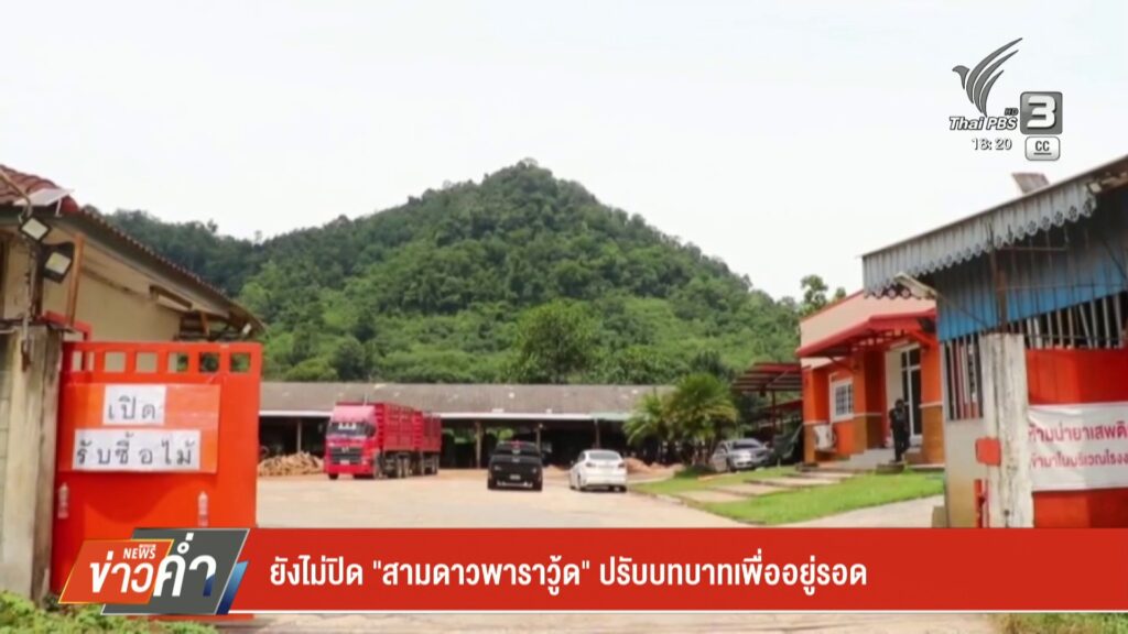 ยังไม่ปิด-“สามดาวพาราวู้ด”-ปรับบทบาทเพื่ออยู่รอด-ข่าวใต้แลไ