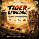 -29-กรกฎาคม-วันเสือโคร่งโลก-(worldwide-tiger-day)-ทุกวัน