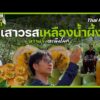 เสาวรสเหลืองน้ำผึ้ง หวานจึ้งตะลึงโลก | มหาอำนาจบ้านนา