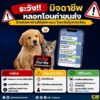 ระวังมิจฉาชีพลวงหาบ้านให้น้องหมา-แมว-ก่อนลวงให้โอนค่าส่ง/ค