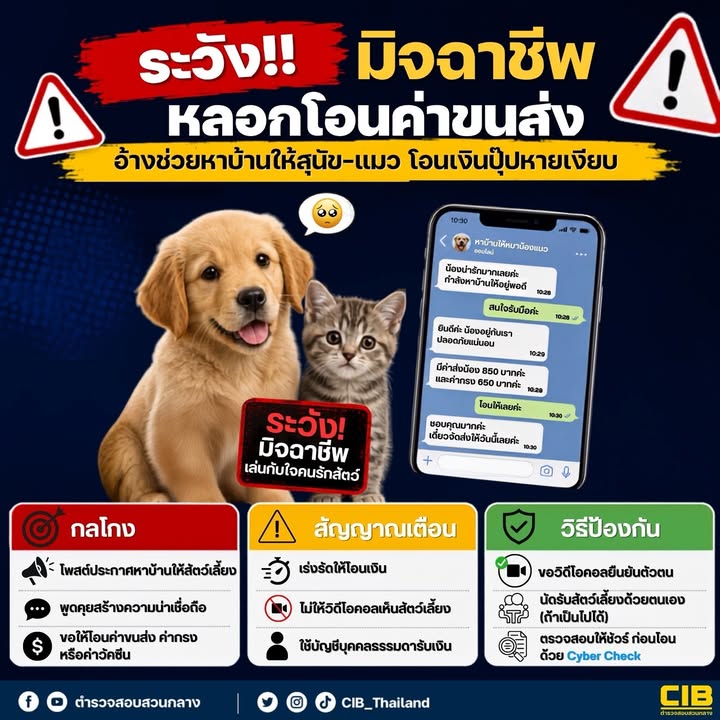 ระวังมิจฉาชีพลวงหาบ้านให้น้องหมา-แมว-ก่อนลวงให้โอนค่าส่ง/ค